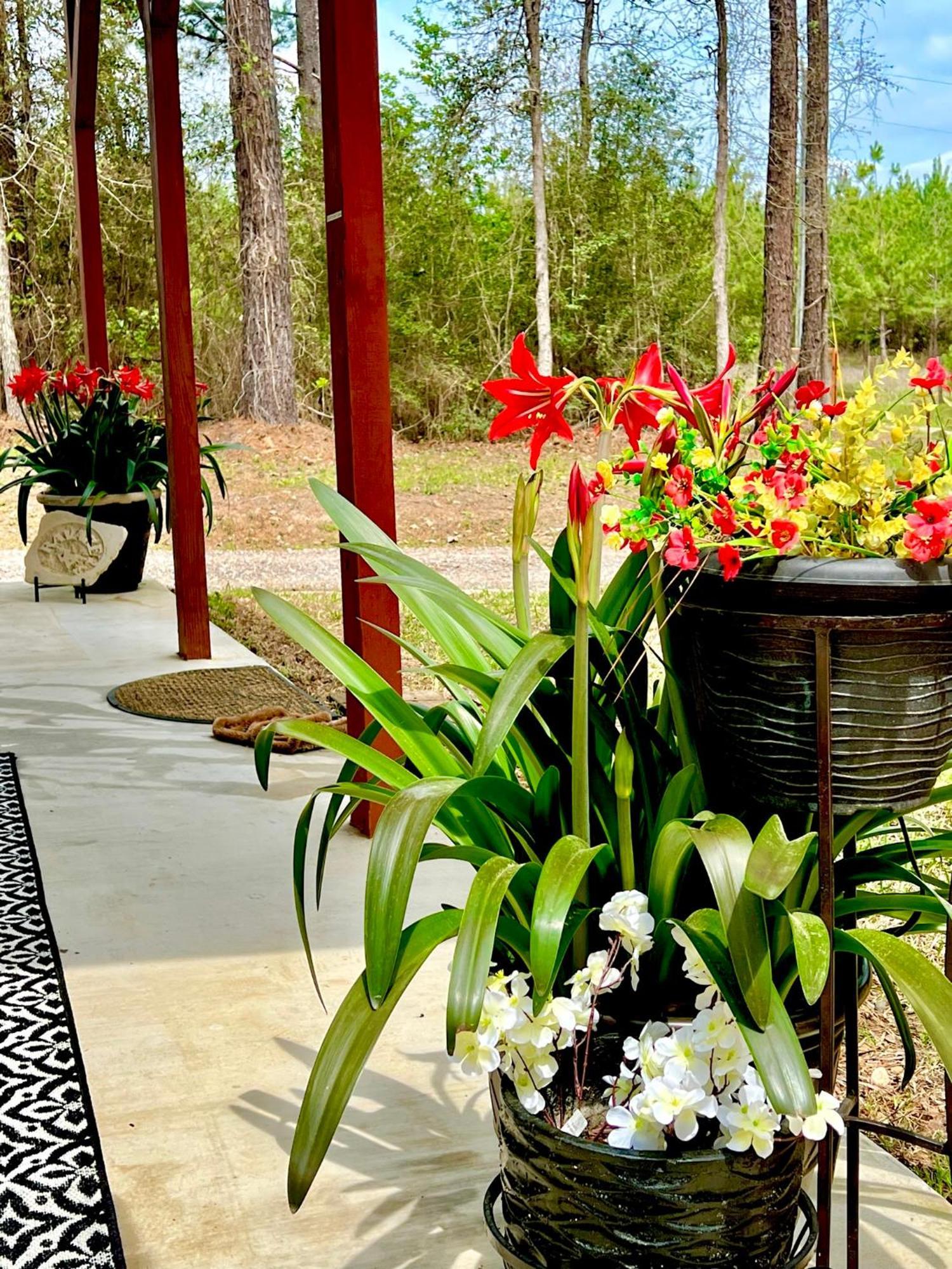 Willa A Tranquil Retreat Loaded With Ambiance! Sleeps 10 Platt Zewnętrze zdjęcie